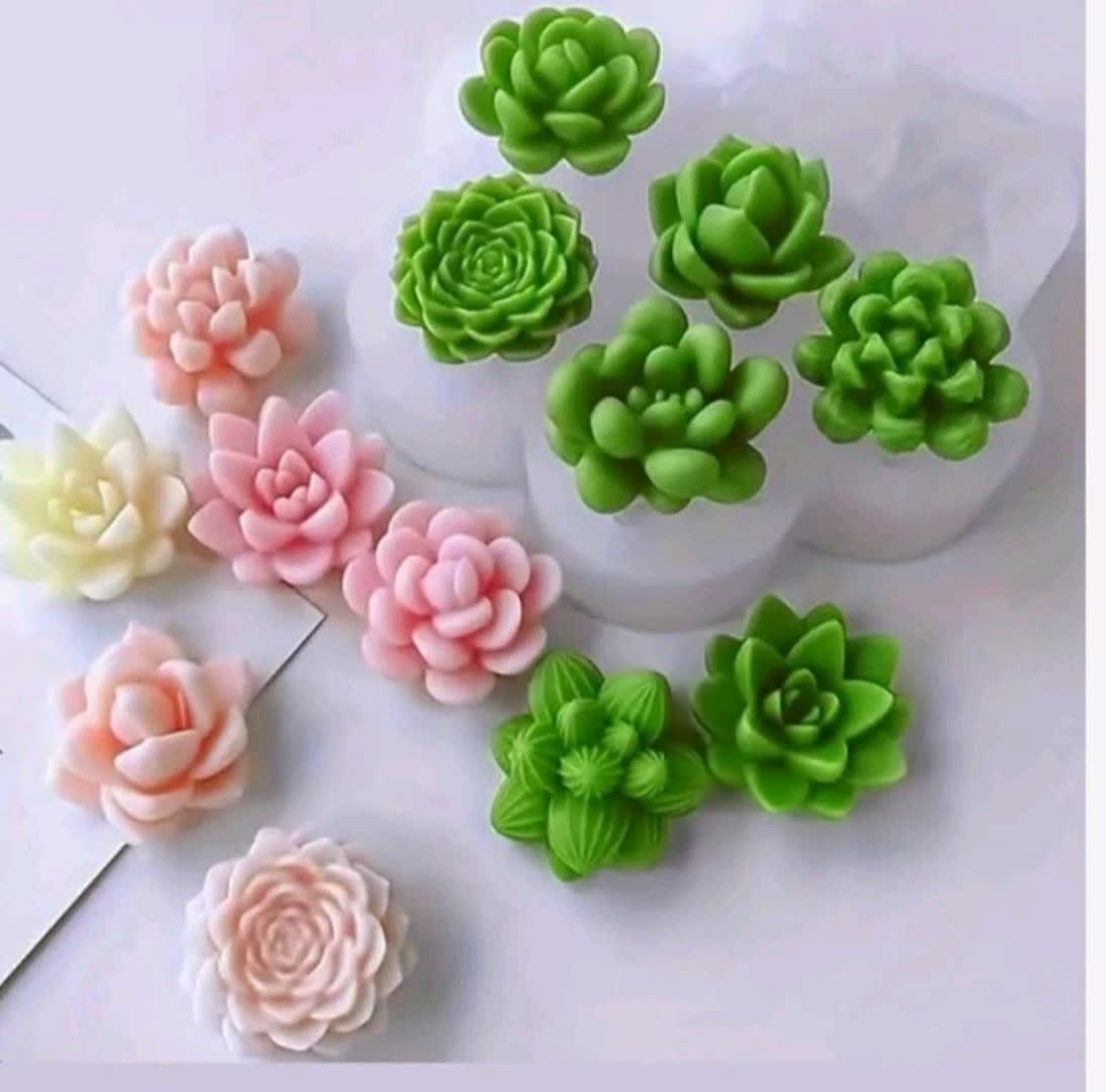 قالب سیلیکونی مدل ساکولنت و کاکتوس 7 عددی کد 0147